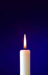 Similar image 11477149