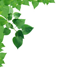 Similar image 11477151