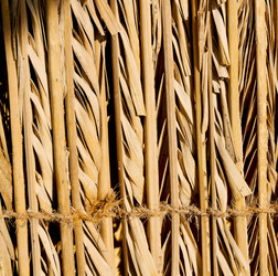 Similar image 11480028