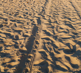 Similar image 11479356