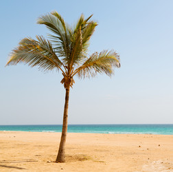 Similar image 11479360