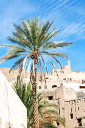 Similar image 11479362