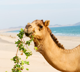 Similar image 11478107