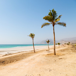 Similar image 11478108