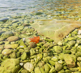 Similar image 11478134