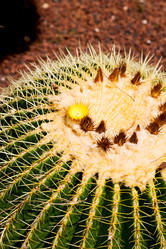 Similar image 11478146