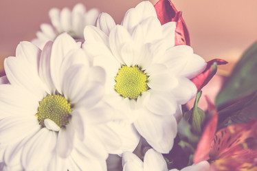 Similar image 11477454