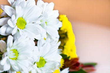 Similar image 11477456