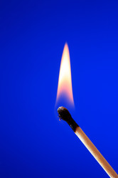 Similar image 11477444