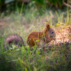 Similar image 11477670