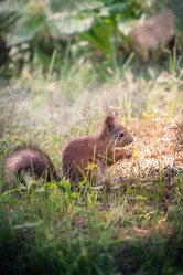 Similar image 11477671