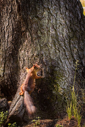 Similar image 11477672