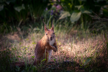 Similar image 11477503