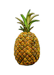 Similar image 11498080