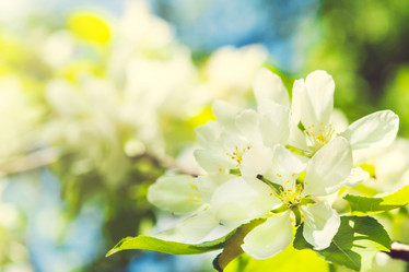 Similar image 11477472