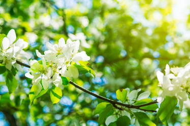 Similar image 11477473