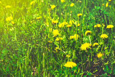 Similar image 11477475