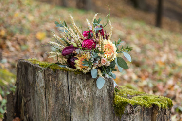 Similar image 11477872