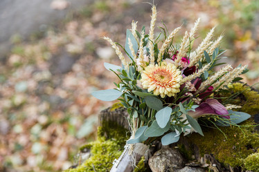 Similar image 11477875