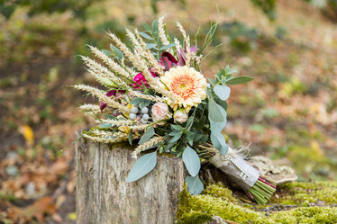 Similar image 11477876