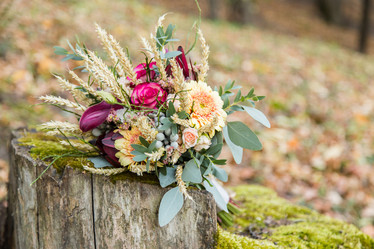 Similar image 11477877