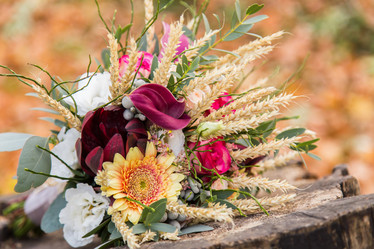 Similar image 11477901