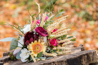 Similar image 11477902