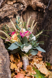 Similar image 11477904