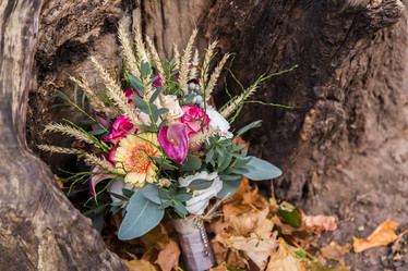 Similar image 11477905