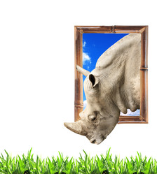 Similar image 11481863