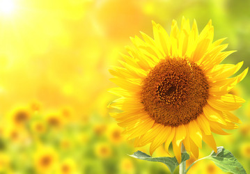 Similar image 11481878