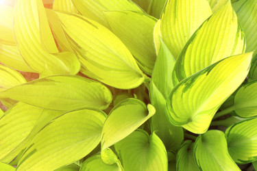 Similar image 11481882