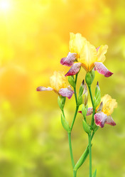 Similar image 11481885