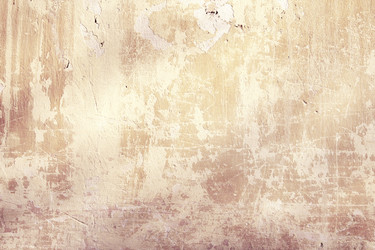 Similar image 11481888