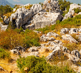 Similar image 11478113