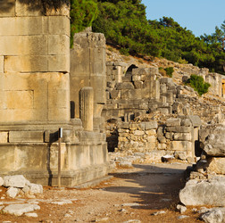 Similar image 11478118