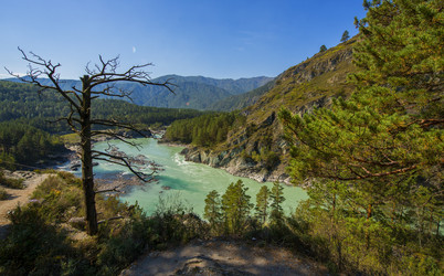 Similar image 11478785