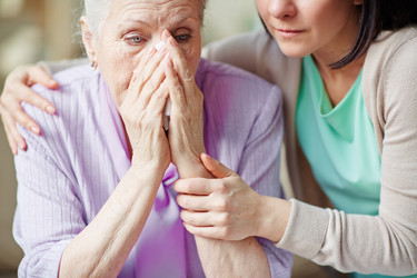 Similar image 11478336