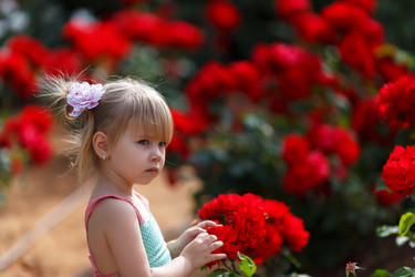 Similar image 11479671