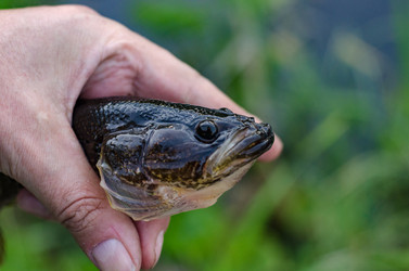 Similar image 11482584