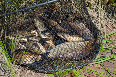 Similar image 11482585