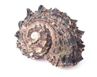 Similar image 11478207