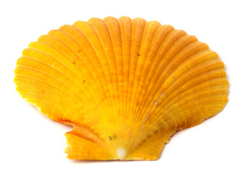 Similar image 11478208