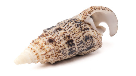 Similar image 11478209