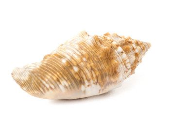 Similar image 11478211