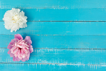 Similar image 11486800