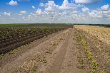 Similar image 11478686