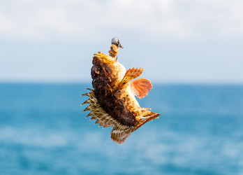 Similar image 11479598