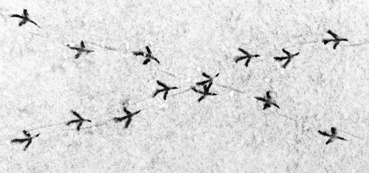 Similar image 11478754