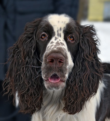 Similar image 11478758